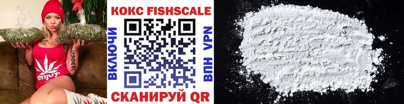 Купить закладки  Новоуральск  COCAIN Fish Scale 