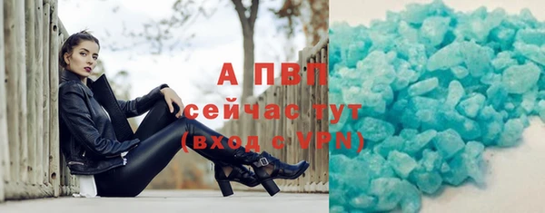 сатива Инсар