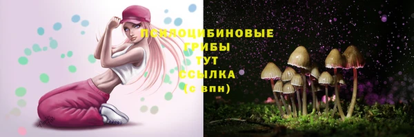 2c-b Тихвин