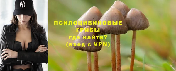 MDMA Premium VHQ Инта