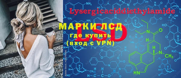 сатива Инсар