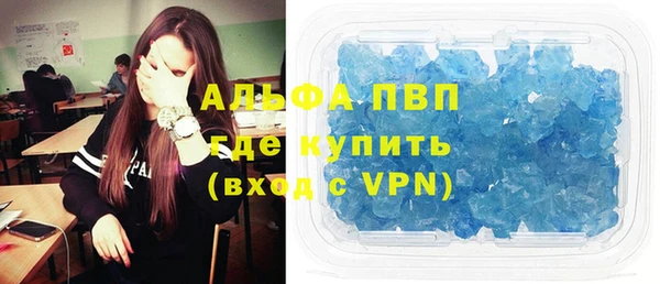 сатива Инсар