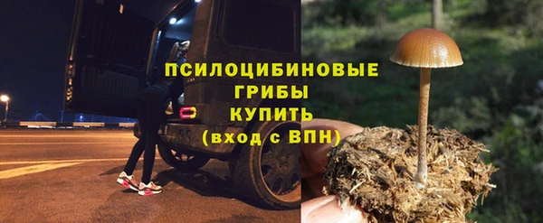 MDMA Premium VHQ Инта