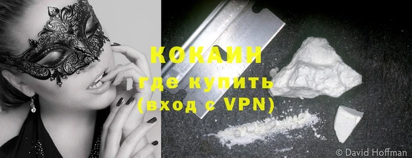 сатива Инсар
